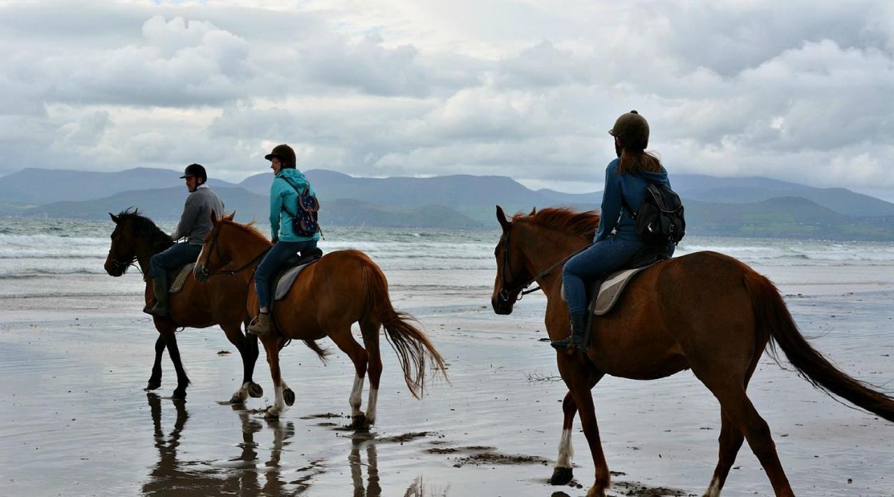 Wild Kerry Lodge Гленби Экстерьер фото